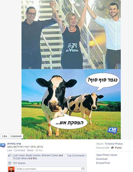 תגובת הרשת טל גלבוע