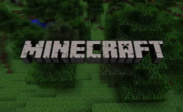 MineCraft (צילום: צילום מיוטיוב)