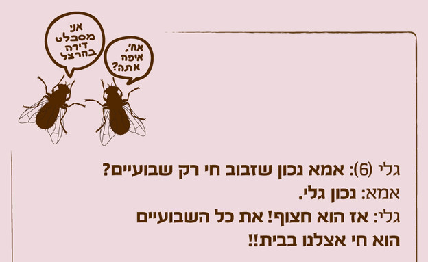 ילדים הם התסריטאים הטובים בעולם - 11.9