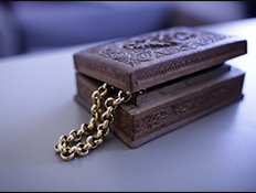 קופסת תכשיטים של מירי מסיקה (צילום: נופר יורן)