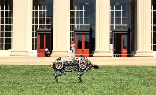 צ'יטה רובוטית (צילום: MIT)