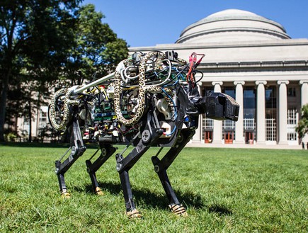 צ'יטה רובוטית (צילום: MIT)