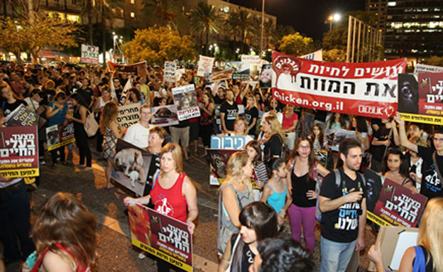 משתתפי ההפגנה, הערב (צילום: רויטל טופיול)