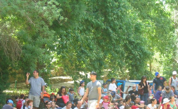 אירועי סוכות