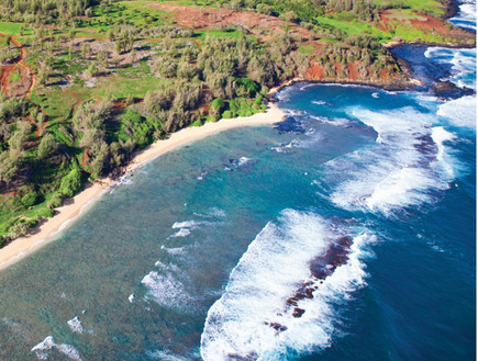 החווה של מארק צוקרברג (צילום: KOOLAUROAD, KILAUEA, HAWAII)