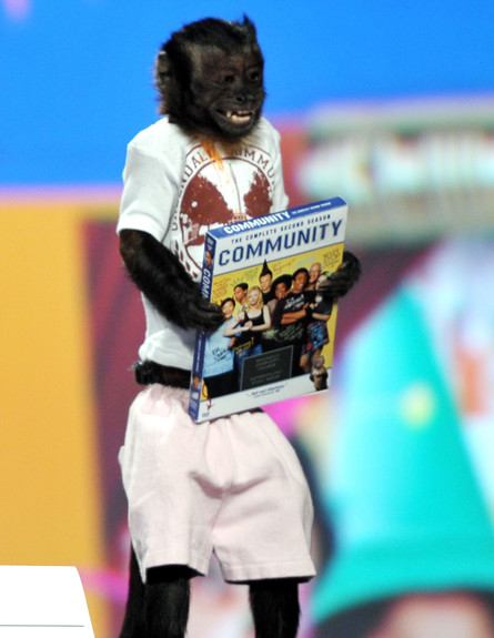 קריסטל הקוף (צילום: John Shearer, GettyImages IL)