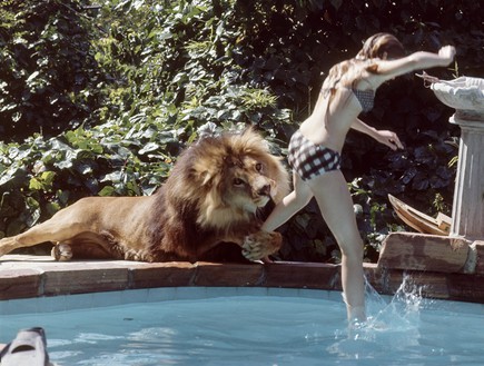 מלאני גריפית' והאריה (צילום: Michael Rougier, GettyImages IL)