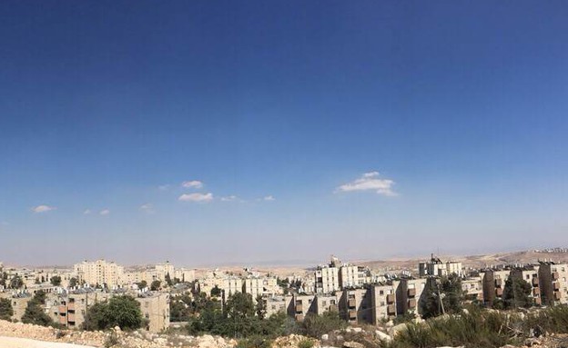 תמונה פנורמית מירושלים (צילום: דובר צה"ל)