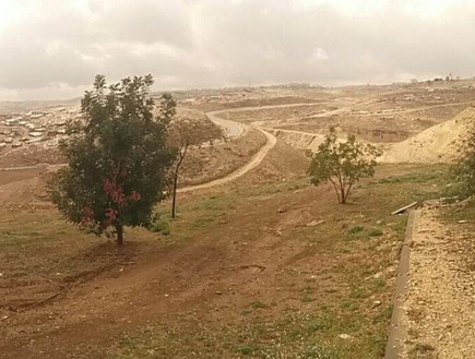 תמונה פנורמית של גבול ירדן (צילום: דובר צה