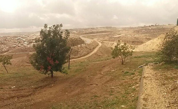 תמונה פנורמית של גבול ירדן (צילום: דובר צה"ל)