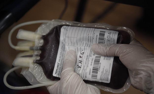תרומת דם (צילום: ap)