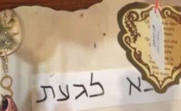 היער השחור (צילום: דן מלכיאלי)