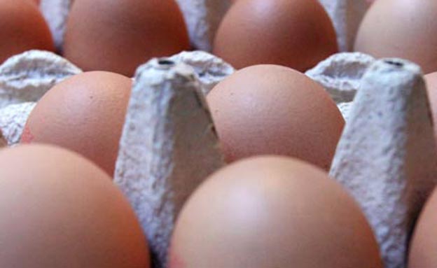 ביצים. יקרות יותר בישראל (צילום: AP)