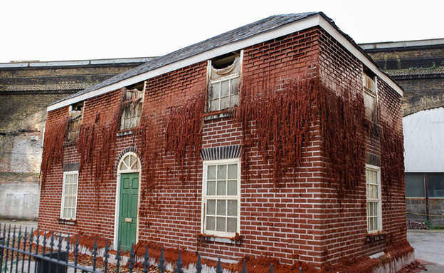 בית שעווה (צילום: alexchinneck.com)