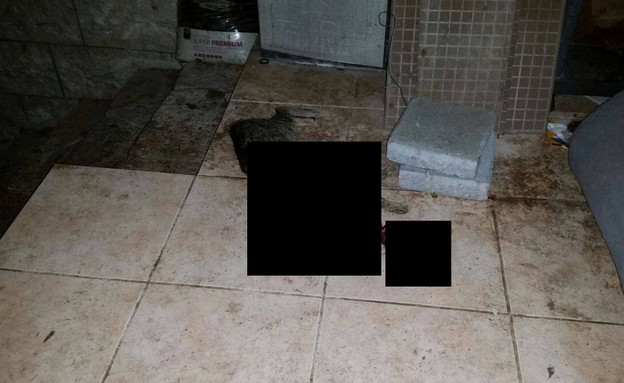 התמונה שפירסמה גלית 