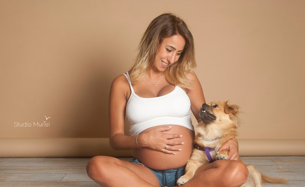 נשים בהריון וכלבים (צילום: סטודיו מוריאל)
