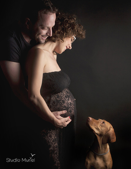 נשים בהריון וכלבים (צילום: סטודיו מוריאל)