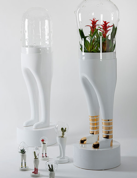 צמחים עם רגליים (צילום: matteocibicstudio)