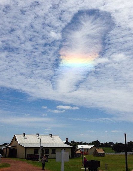 קשת בענן (צילום: טוויטר / אינסטגרם)