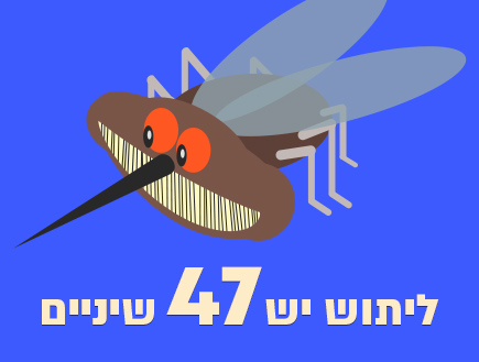 10 עובדות (צילום: אינפוגרפיקה: סטודיו mako)