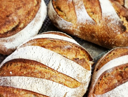 טוצ'קה לחם מחמצת (צילום: באדיבות אוריאל קרנגל)