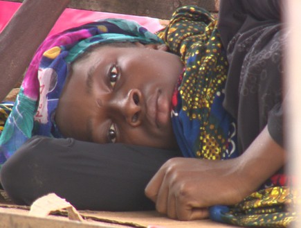 מסע בארץ האבולה