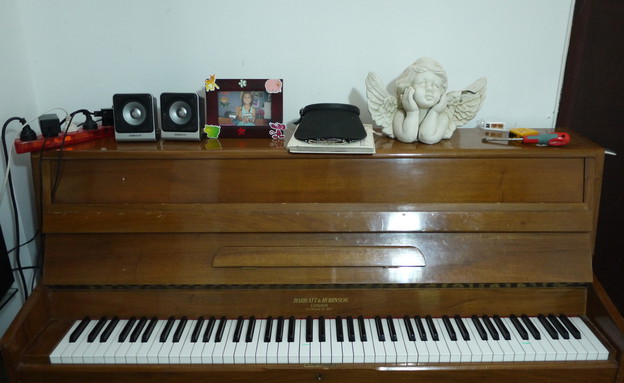 הפסנתר בבית של שי גל (צילום: שי גל 2, צילום ביתי)
