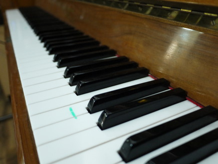 הפסנתר בבית של שי גל (צילום: שי גל 2, צילום ביתי)