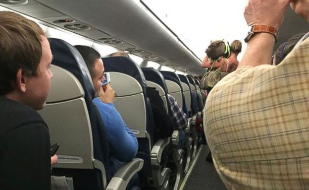 חזיר על המטוס