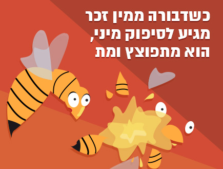 10 עובדות (צילום: אינפוגרפיקה: סטודיו mako)