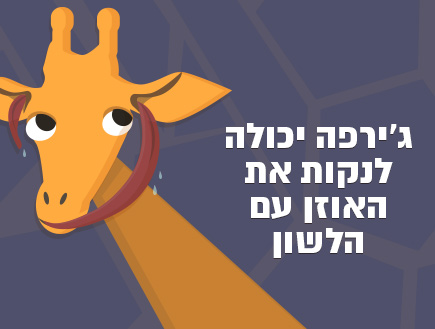 10 עובדות (צילום: אינפוגרפיקה: סטודיו mako)