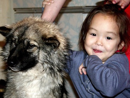 כלב הציל ילדה (צילום: The Siberian Times)