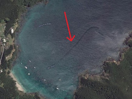 מפלצת בניוזילנד (צילום: Google Maps)