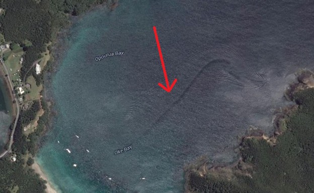 מפלצת בניוזילנד (צילום: Google Maps)