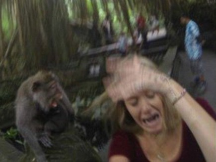 סלפי עם קוף (צילום: reddit)