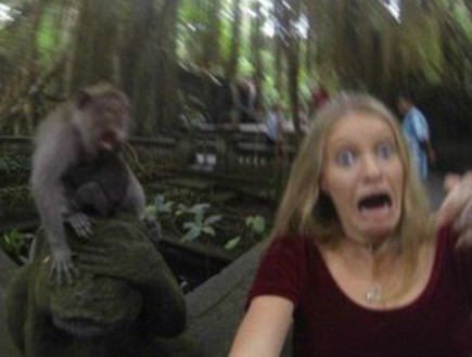 סלפי עם קוף (צילום: reddit)