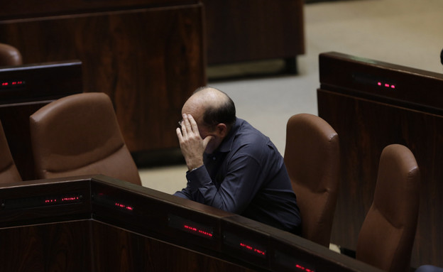 דיון בהצעת חוק המפלגות במליאת הכנסת (צילום: אוליבייה פיטוסי, TheMarker)