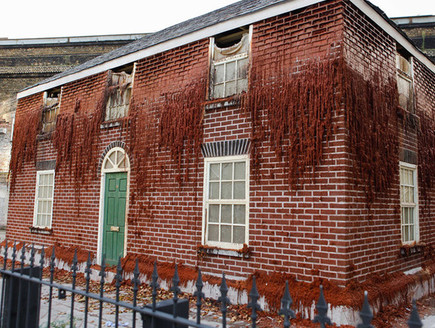 בתים מוזרים הבית נמס תוך 30 יום (צילום: alexchinneck.com)