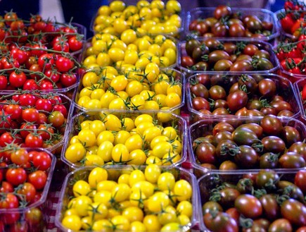 עגבניות שרי (צילום: אלונה להב,  יחסי ציבור )