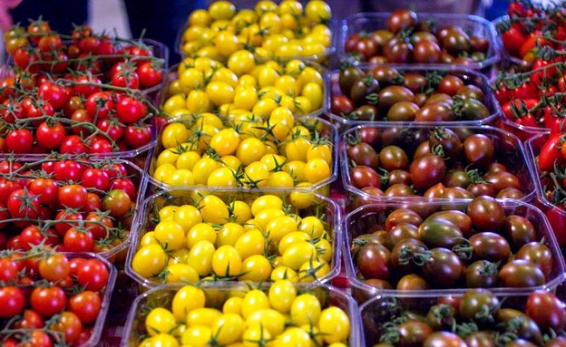 עגבניות שרי (צילום: אלונה להב,  יחסי ציבור )