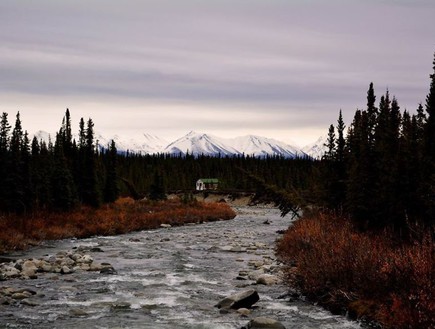 Surrounded, Alaska  (צילום: www.boredpanda.com)