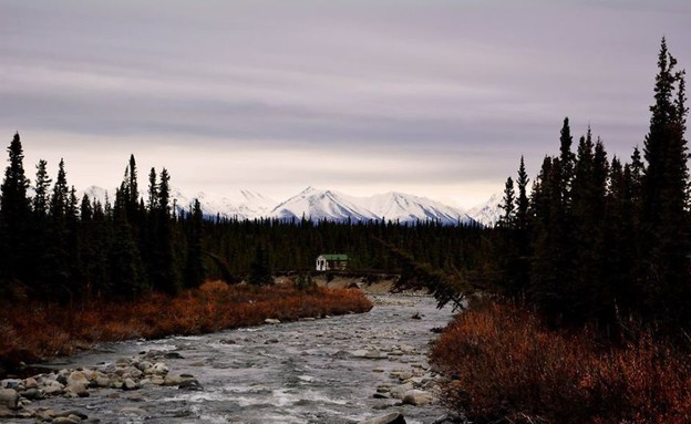 Surrounded, Alaska  (צילום: www.boredpanda.com)