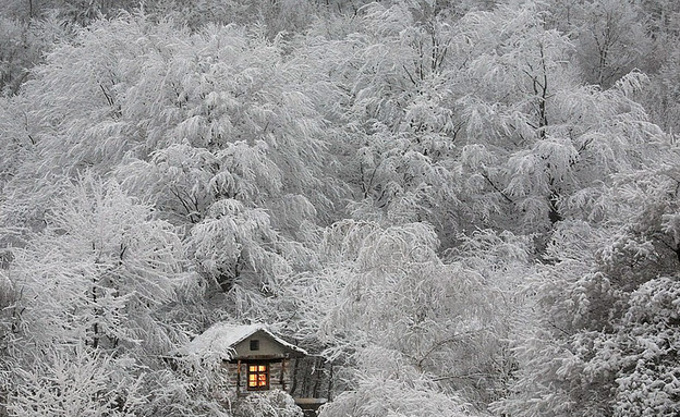 Winter Fairytale  (צילום: www.boredpanda.com)