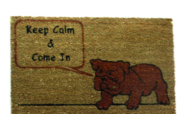 שטיחון, כלב מדבר, הרמוניה לבית מידות 45X75 סמ המחי (צילום: אסף לוי)