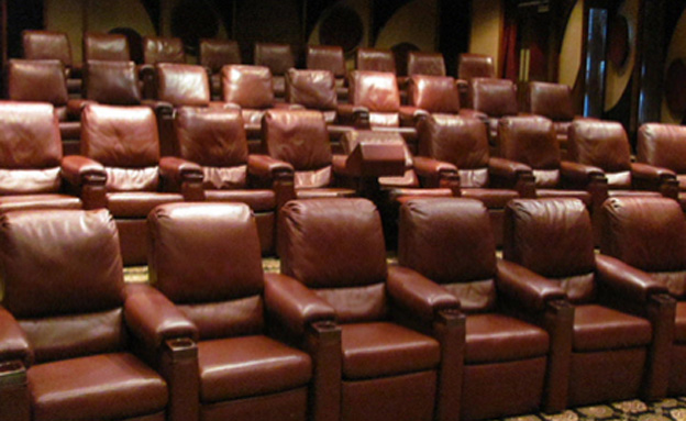 אולם הקולנוע הפרטי