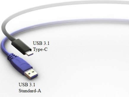 שרטוט של USB Type-C בהשוואה ל-USB Type-A (צילום: Foxconn)