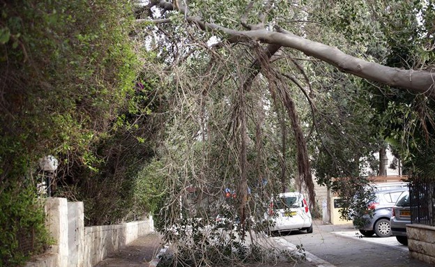 סופה, חיפה, רחוב הימים (צילום: משה בלה תקשורת)