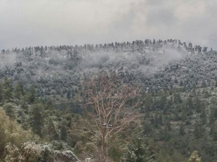 השלג הגיע גם לנווה אילן (צילום: חדשות 2)