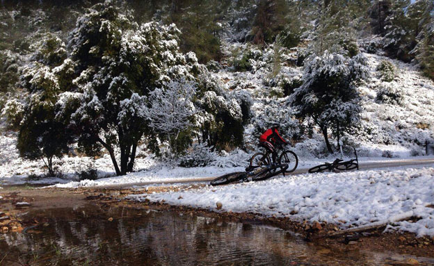 רוכבי אופניים ביער אשתאול