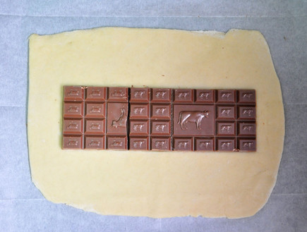 צמת שמרים שוקולד קוקוס (צילום: רות אופק, שמח במטבח)